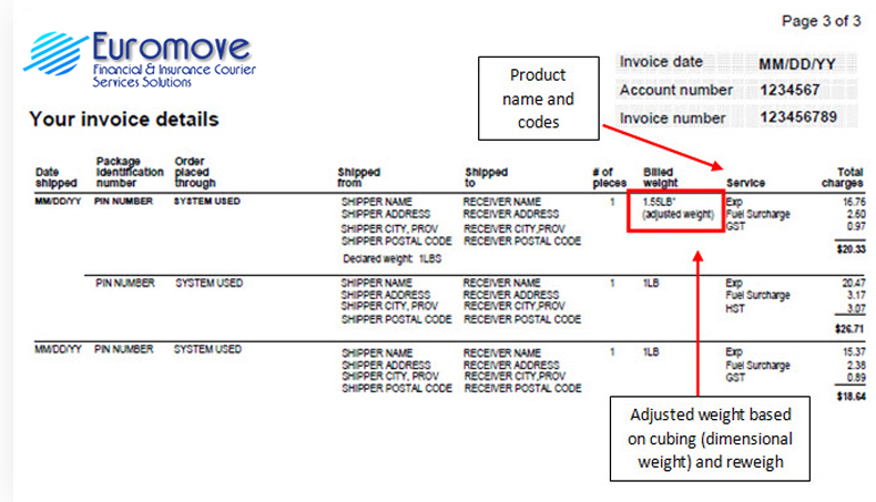 Invoice Details Page example